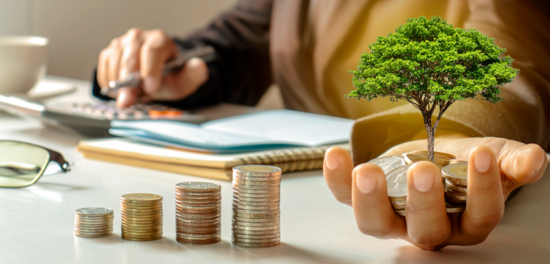 Árbol encima de monedas, simulando el crecimiento del dinero.